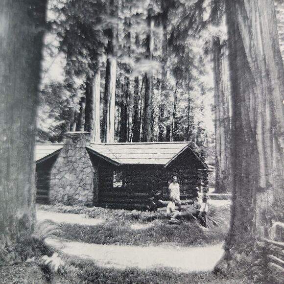 1947 Humbolt County California Vacation In The Redwoods Map Activities Brouchre - Picture 5 of 6